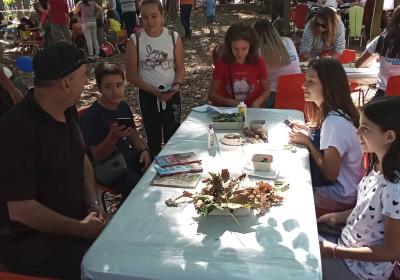 Viber Slika 2021 09 12 18 32 10 813