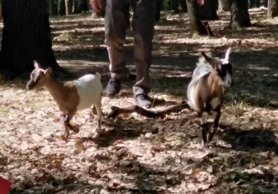 Viber Slika 2021 09 13 19 09 39 716