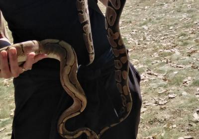 Viber Slika 2021 09 13 19 09 42 427