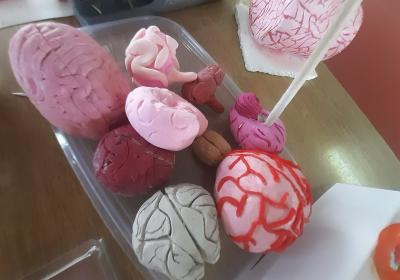 Viber Slika 2021 10 06 10 59 33 125