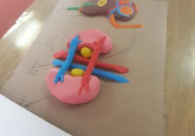 Viber Slika 2021 10 06 10 59 33 887