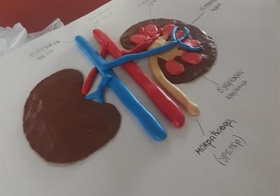 Viber Slika 2021 10 06 10 59 36 163