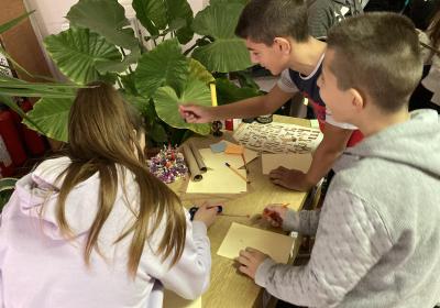 Viber Slika 2021 12 01 09 34 06 639