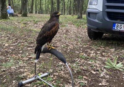 Viber Slika 2022 09 10 14 40 46 465