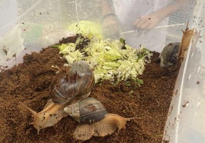 Viber Slika 2022 09 10 14 40 47 055