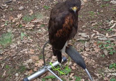 Viber Slika 2022 09 11 10 27 13 369