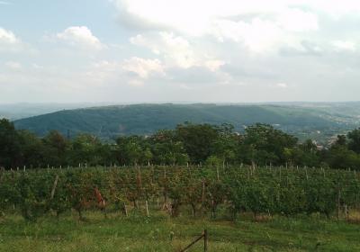 Viber Slika 2022 09 11 11 38 49 266