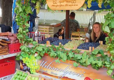 Viber Slika 2022 10 07 12 11 20 995